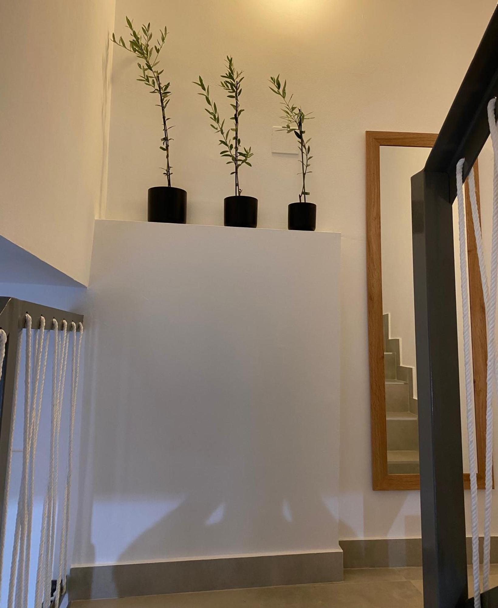 El Olivo Villa Alcaudete Dış mekan fotoğraf